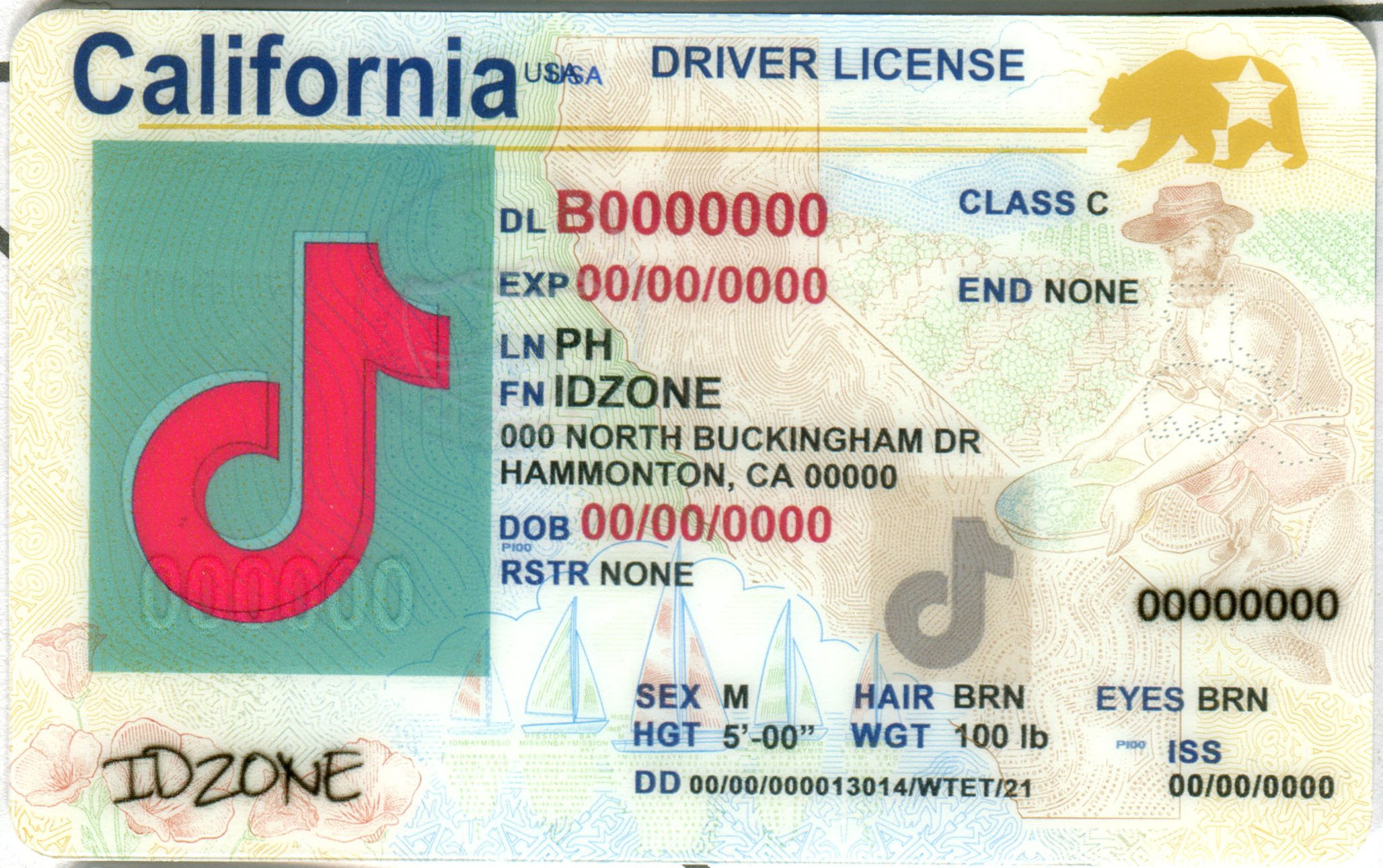 CALIFORNIA-New fake id