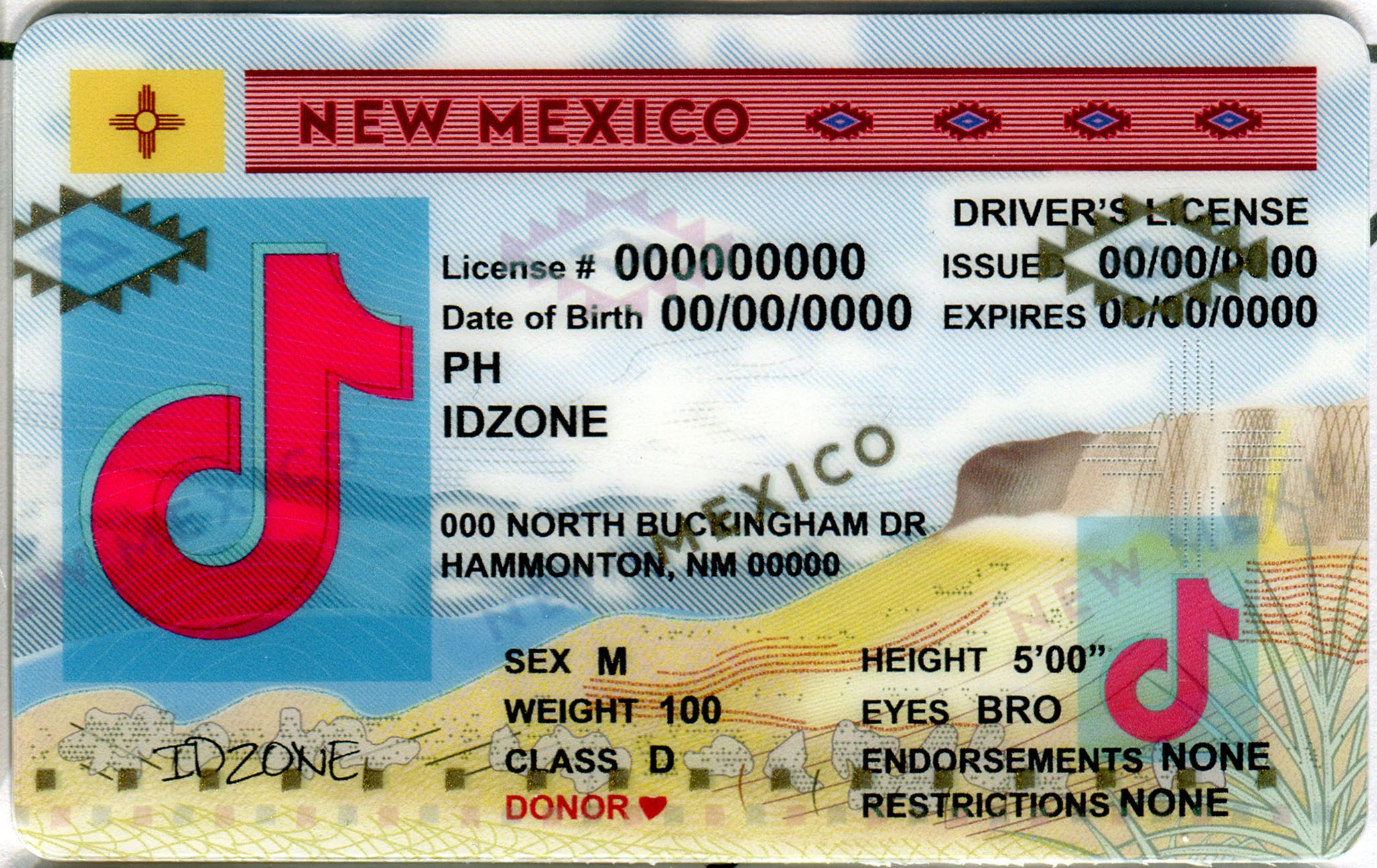 NEW MEXICO-Old Scannable fake id