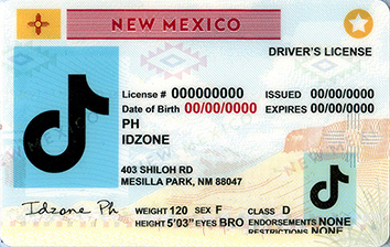 NEW MEXICO-New fake id