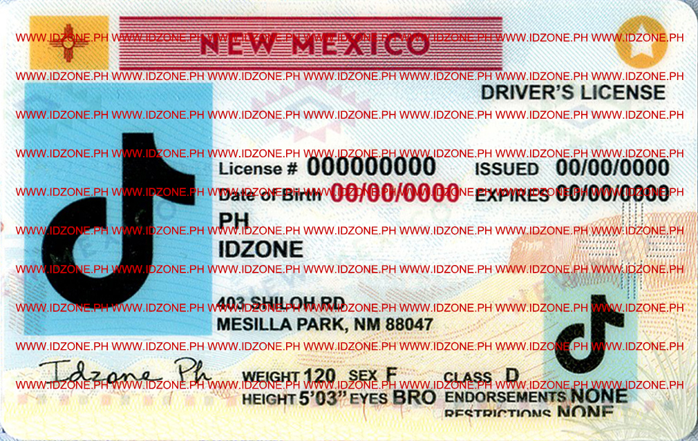 2025 fake ID NM